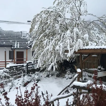 Maly & Panorama * Lipowa