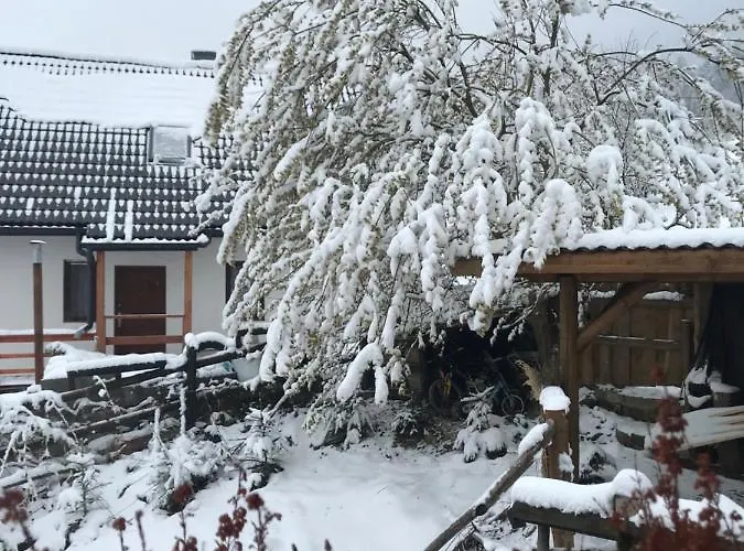 Maly & Panorama * 리포와