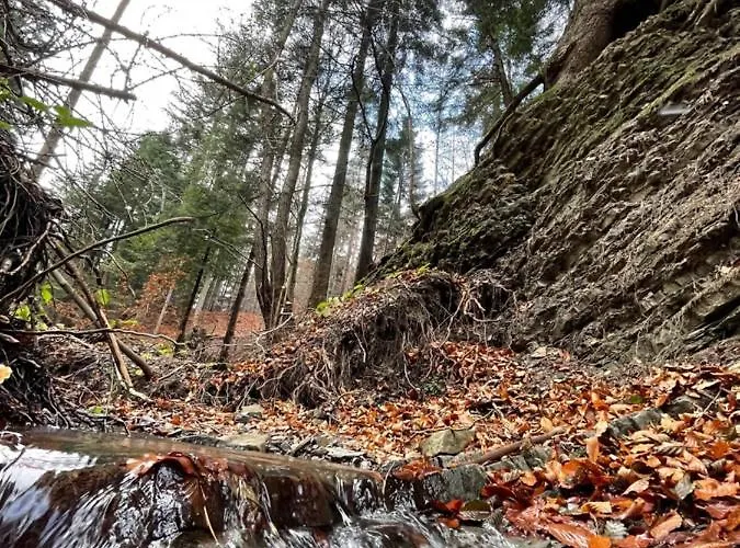 Maly & Panorama Chalet *